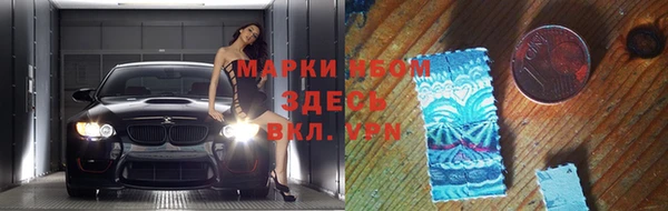 сатива Новодвинск