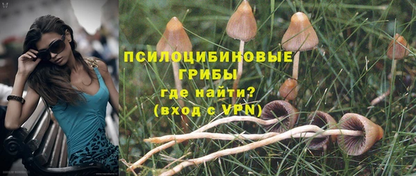 ALPHA-PVP Нея