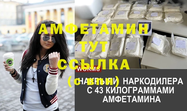 сатива Новодвинск